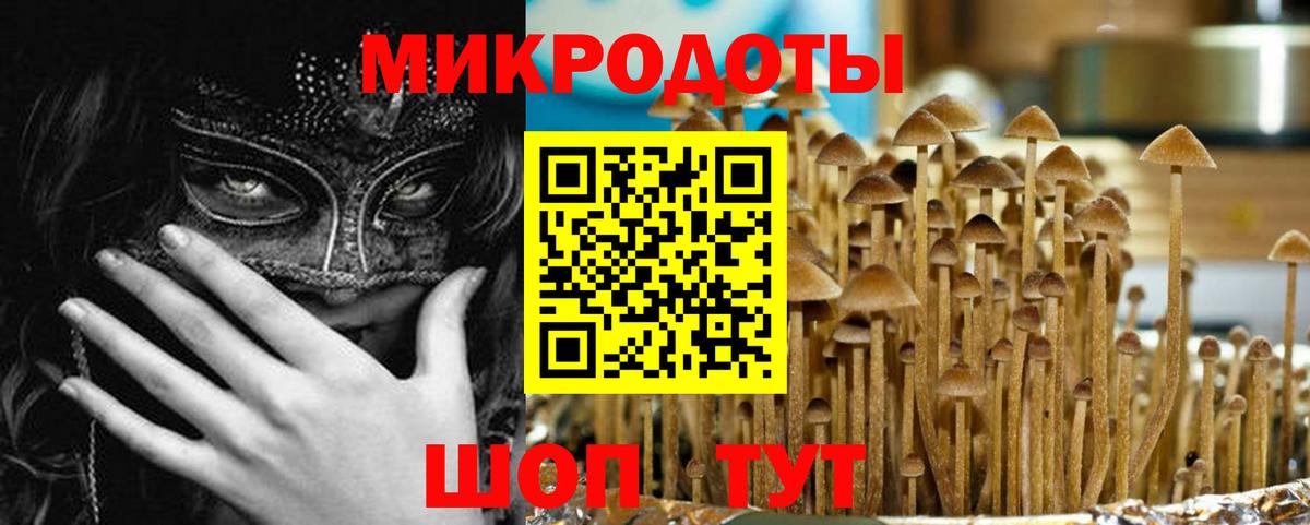 Галлюциногенные грибы MAGIC MUSHROOMS  Вход с VPN  Южноуральск  Псилоцибиновые грибы Psilocybe 
